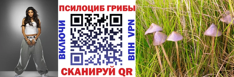 где найти наркотики Новочебоксарск Псилоцибиновые грибы мицелий